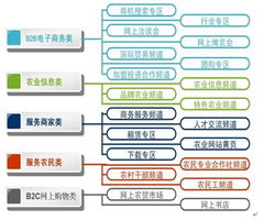中國農業(yè)信息網商務版運營模式探索 構建數字化農業(yè)服務新生態(tài)